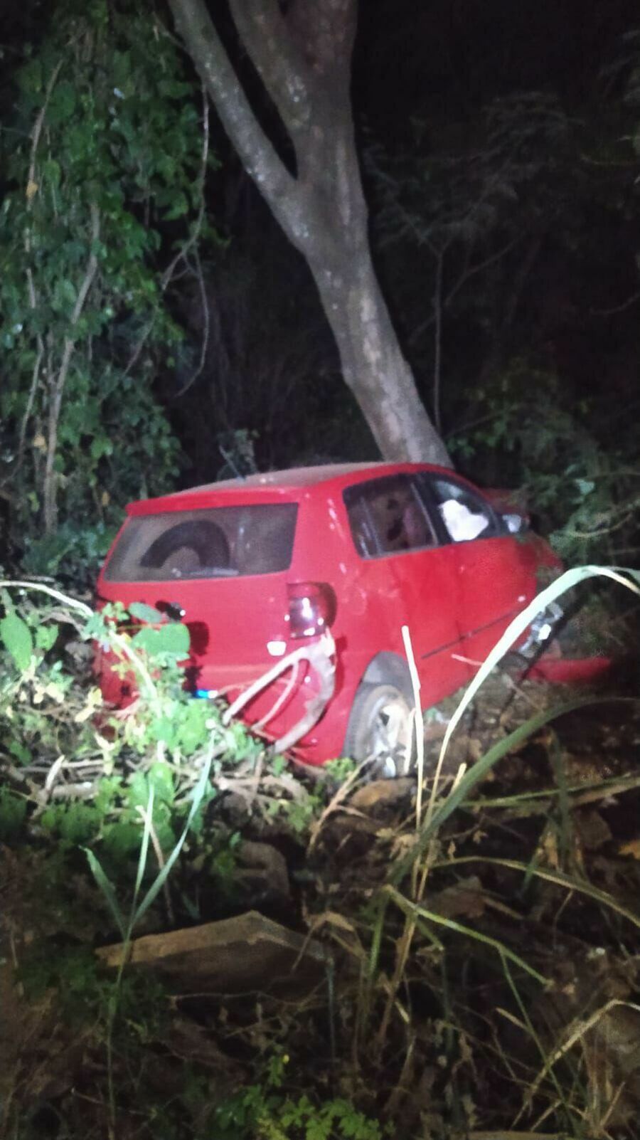 Imagem 2405 carro